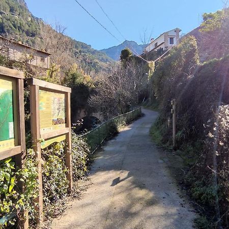 Alojamientos Puerta Del Parque Cazorla Cameră foto