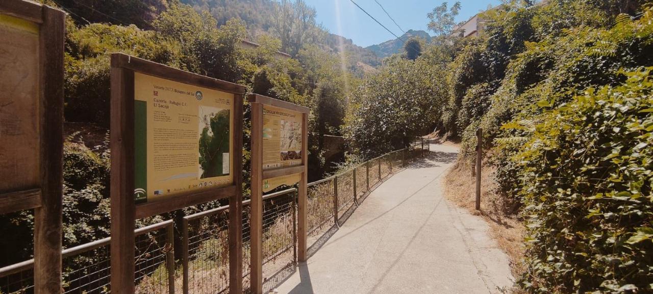 Alojamientos Puerta Del Parque Cazorla Exterior foto
